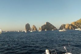 Cabo San Lucas Black Blue Marlin Contest 24 scaled opt