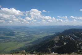 Yellowstone 80 scaled opt