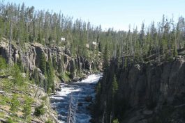 Yellowstone 87 scaled opt